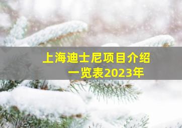 上海迪士尼项目介绍 一览表2023年